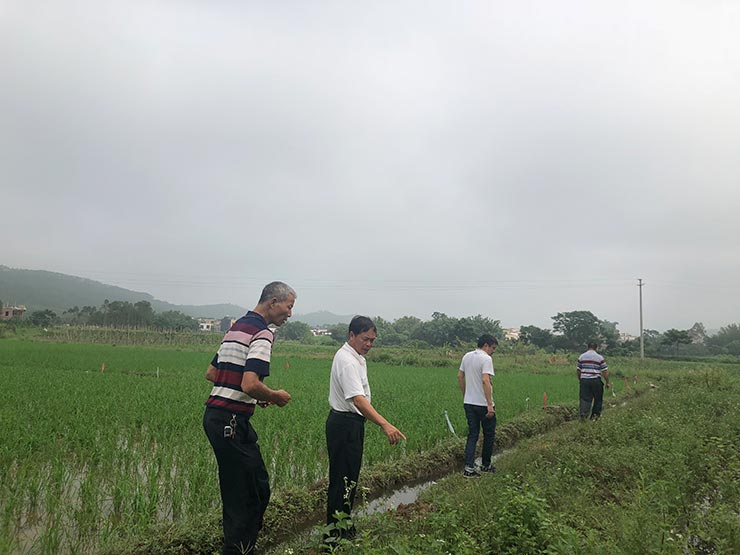 122cc太阳集成游戏(中国)有限公司官网