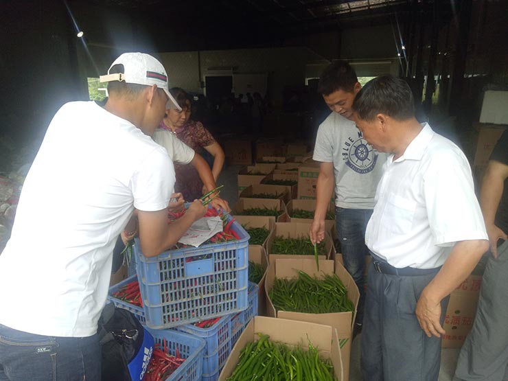 122cc太阳集成游戏(中国)有限公司官网