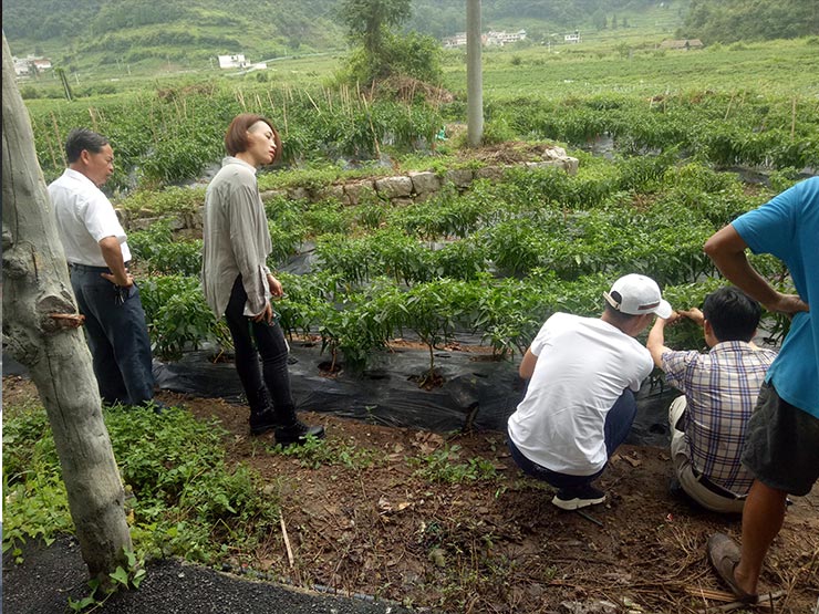 122cc太阳集成游戏(中国)有限公司官网