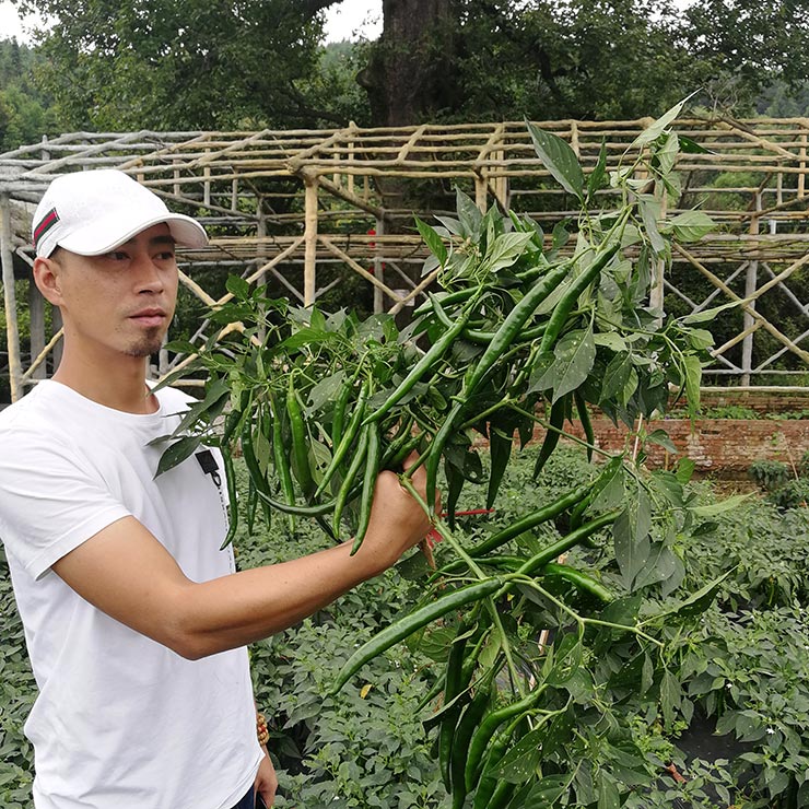 122cc太阳集成游戏(中国)有限公司官网