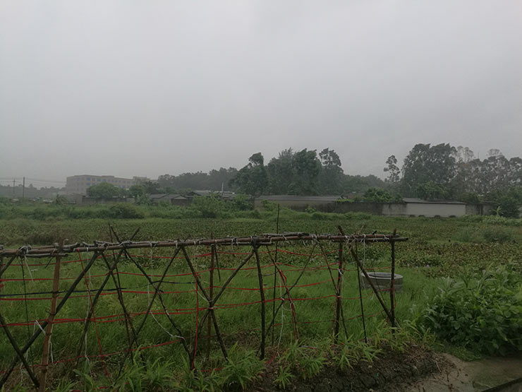 122cc太阳集成游戏(中国)有限公司官网