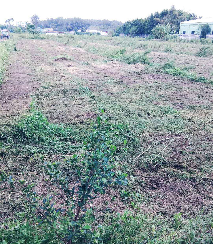 122cc太阳集成游戏(中国)有限公司官网