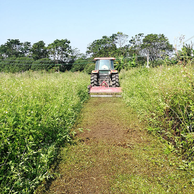 122cc太阳集成游戏(中国)有限公司官网