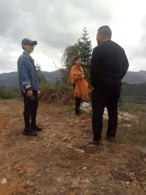 122cc太阳集成游戏(中国)有限公司官网