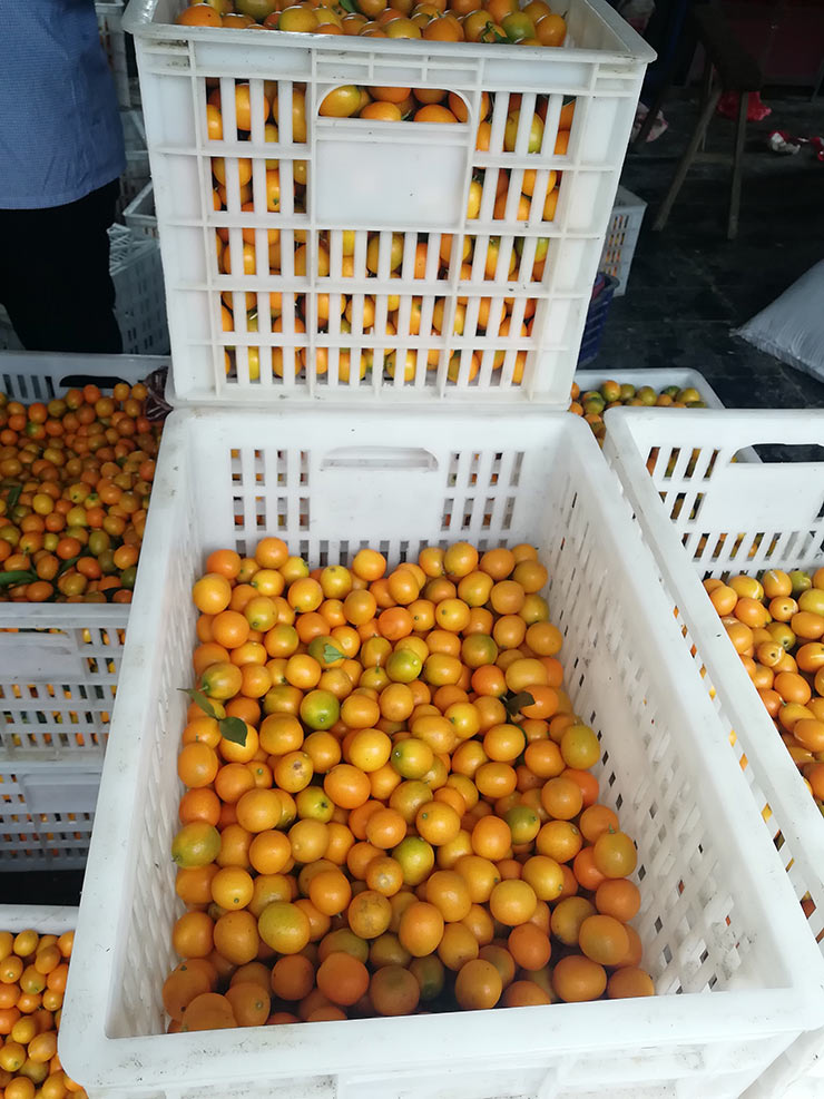 122cc太阳集成游戏(中国)有限公司官网