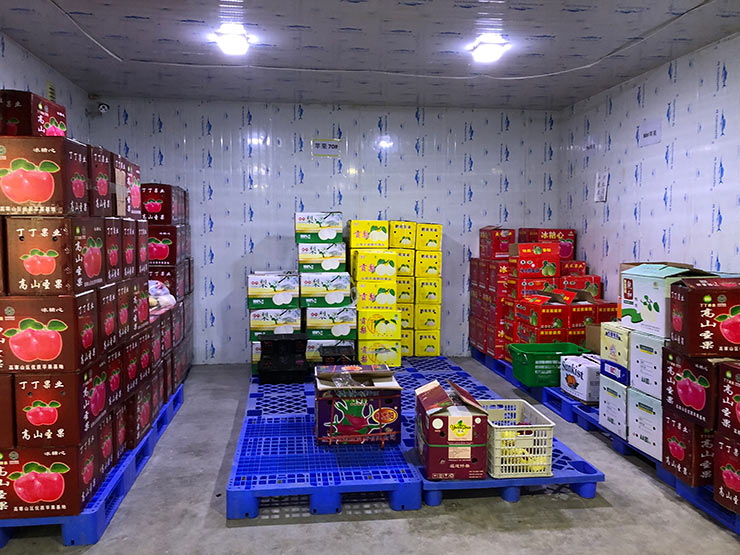 122cc太阳集成游戏(中国)有限公司官网