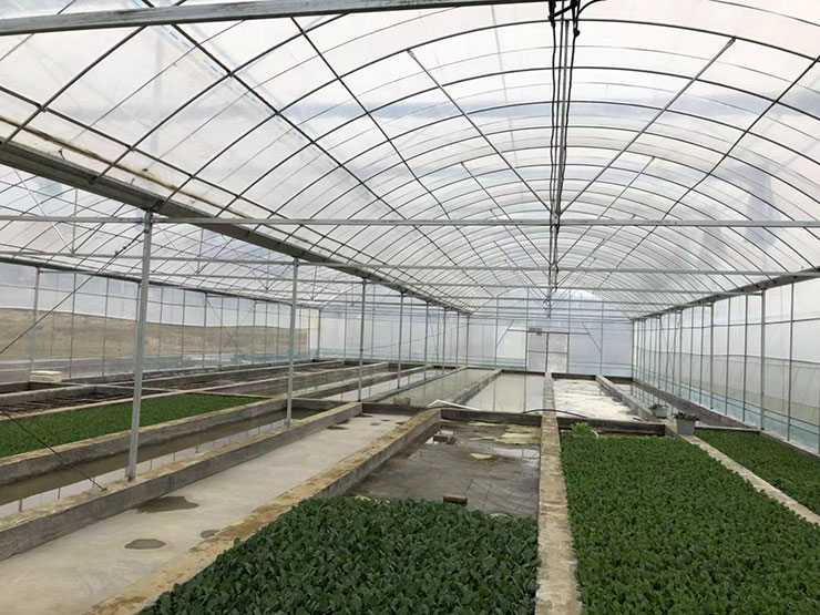 122cc太阳集成游戏(中国)有限公司官网