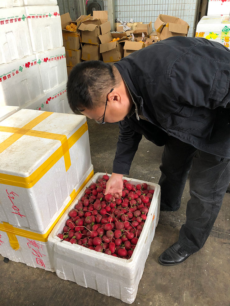 122cc太阳集成游戏(中国)有限公司官网