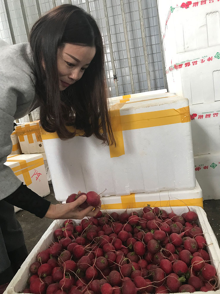 122cc太阳集成游戏(中国)有限公司官网