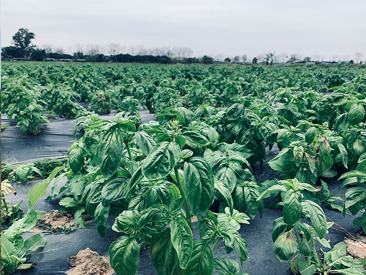 122cc太阳集成游戏(中国)有限公司官网