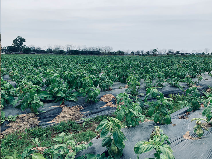 122cc太阳集成游戏(中国)有限公司官网