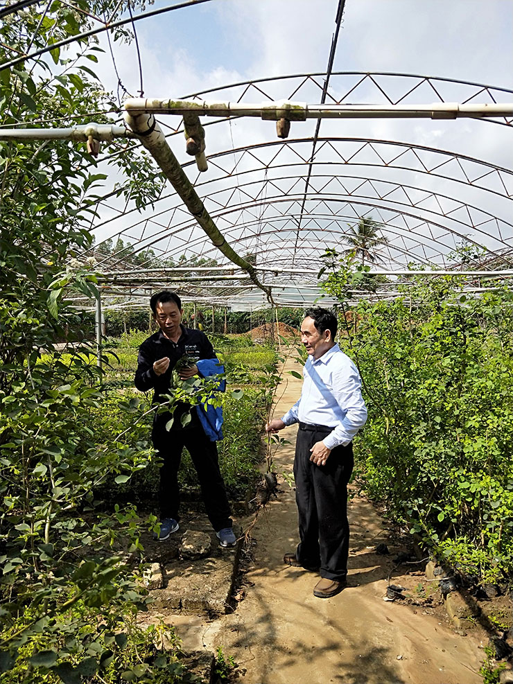 122cc太阳集成游戏(中国)有限公司官网