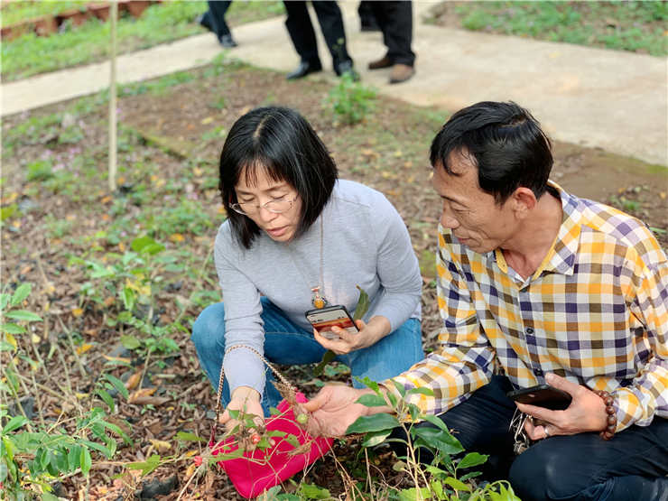 122cc太阳集成游戏(中国)有限公司官网