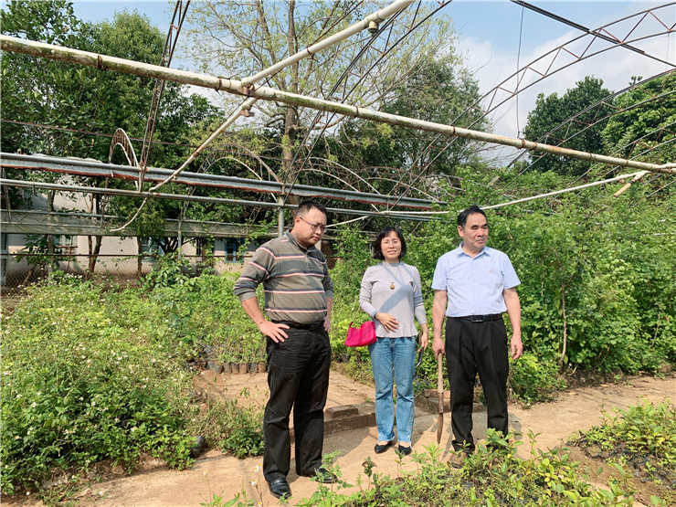 122cc太阳集成游戏(中国)有限公司官网