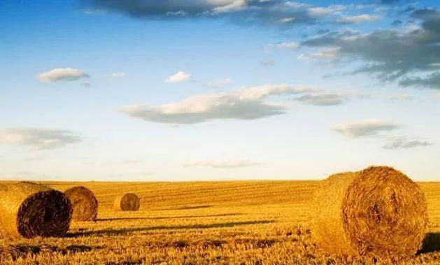 122cc太阳集成游戏(中国)有限公司官网