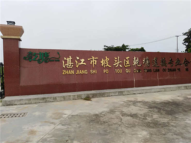 122cc太阳集成游戏(中国)有限公司官网