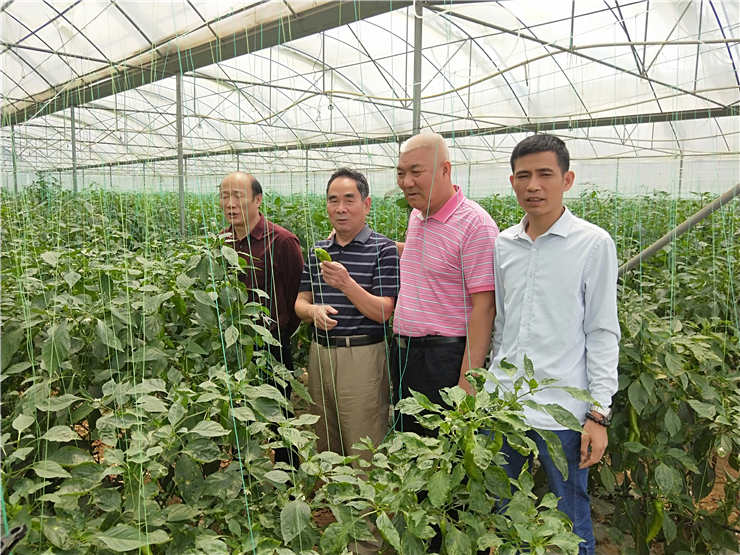 122cc太阳集成游戏(中国)有限公司官网