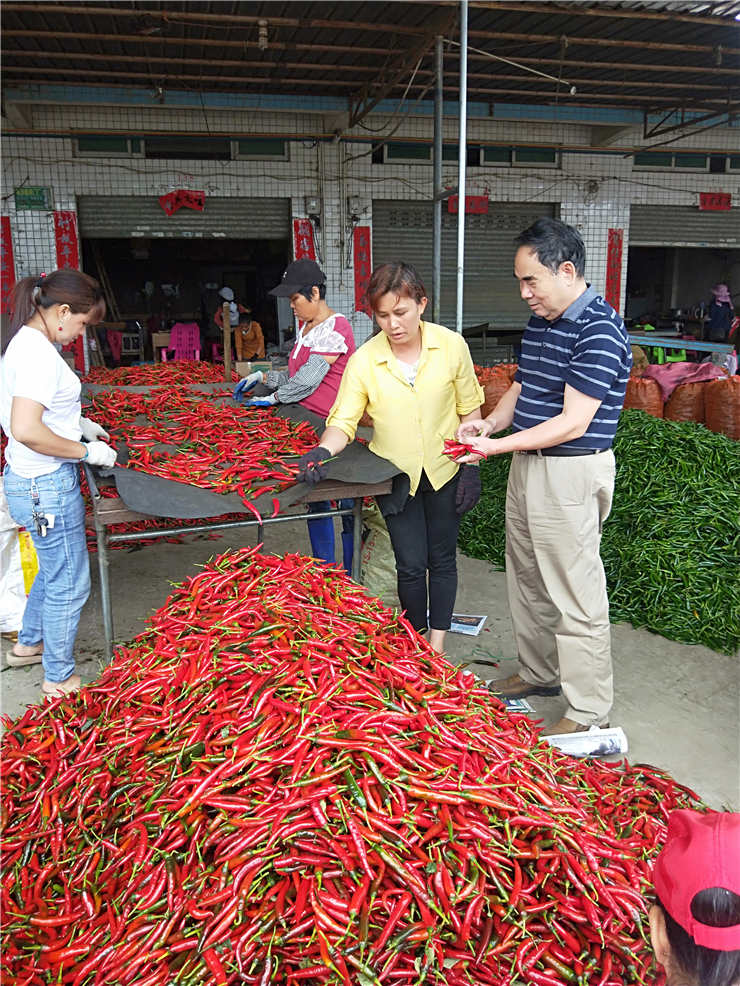 122cc太阳集成游戏(中国)有限公司官网