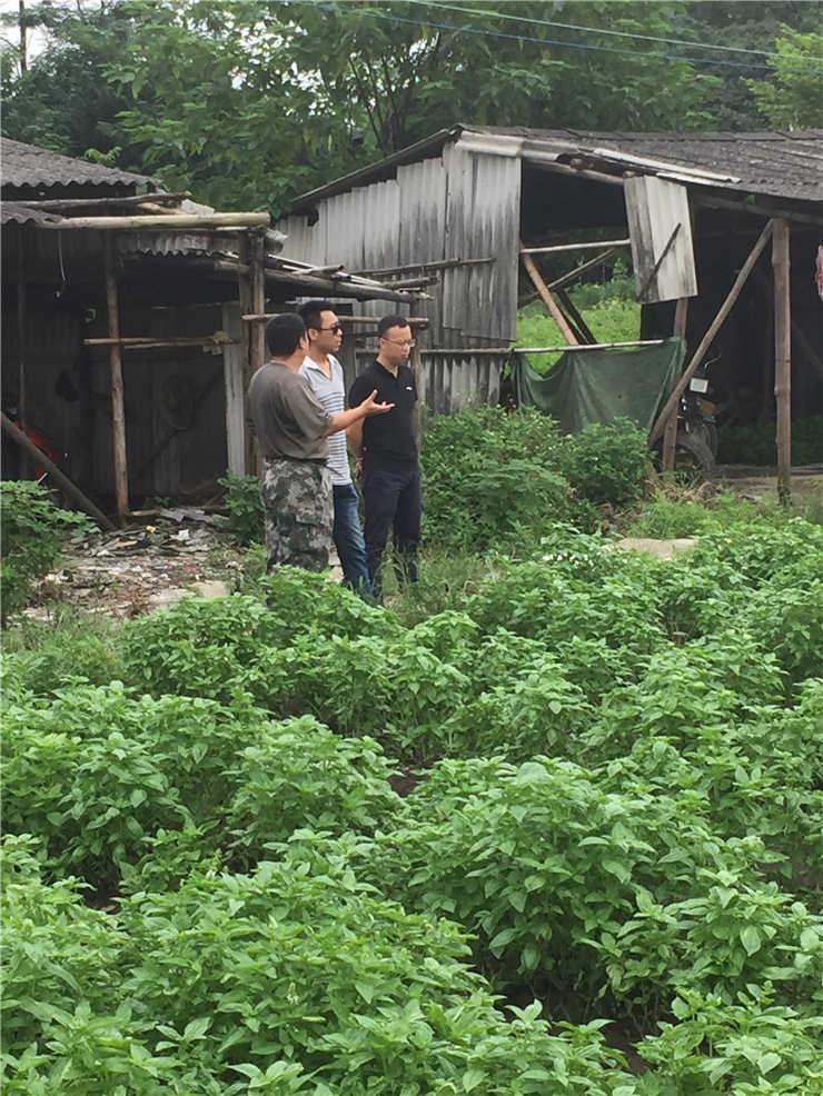 122cc太阳集成游戏(中国)有限公司官网