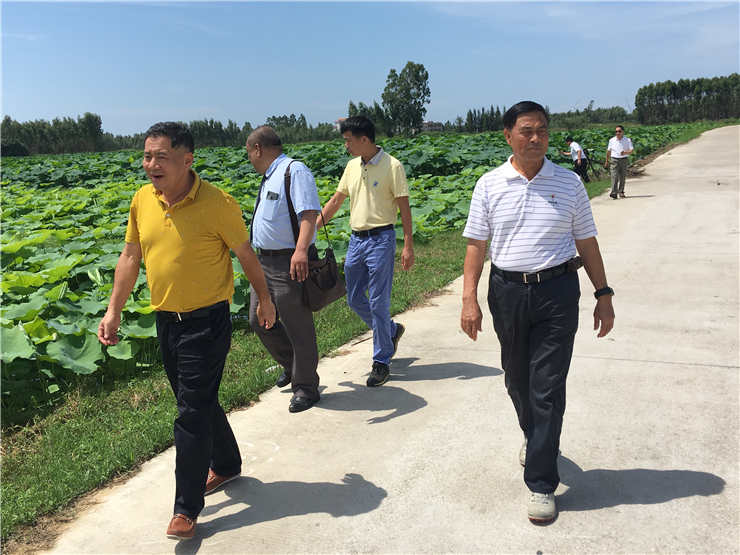 122cc太阳集成游戏(中国)有限公司官网