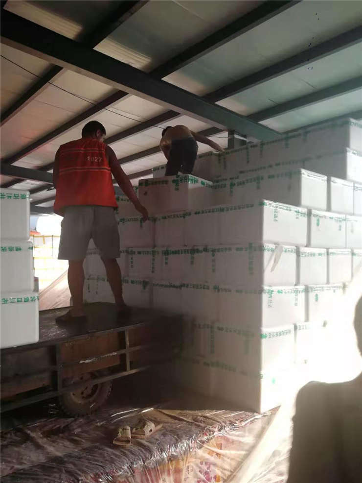 122cc太阳集成游戏(中国)有限公司官网