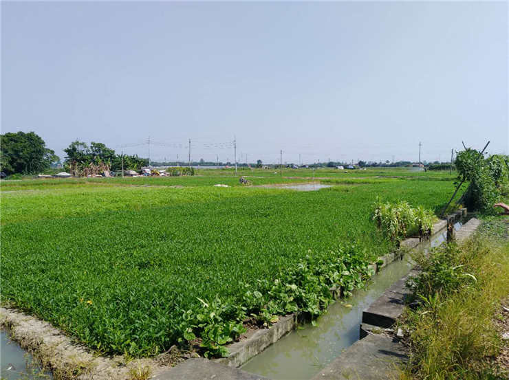 122cc太阳集成游戏(中国)有限公司官网