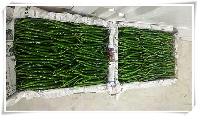 122cc太阳集成游戏(中国)有限公司官网