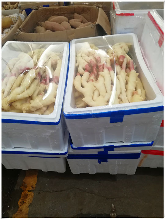 122cc太阳集成游戏(中国)有限公司官网