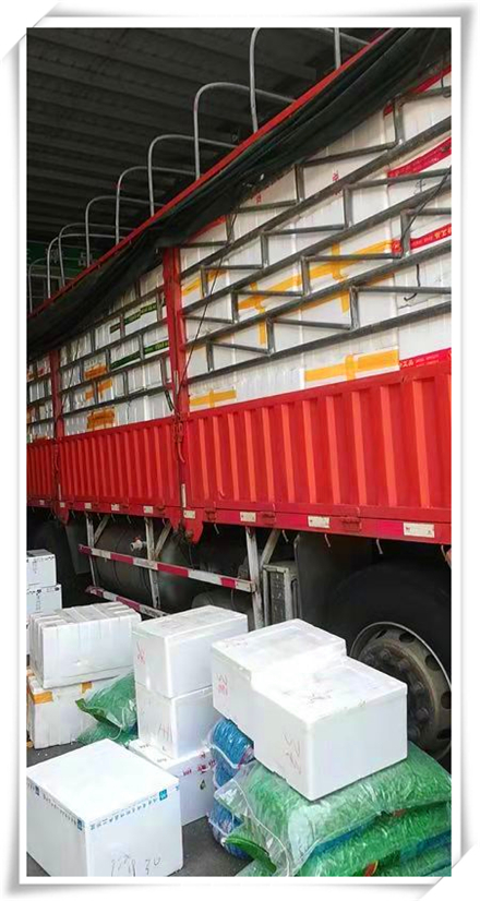 122cc太阳集成游戏(中国)有限公司官网