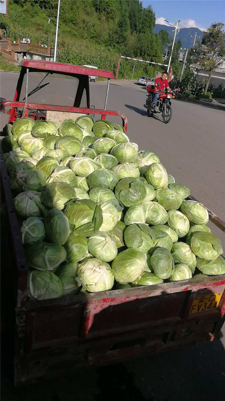 122cc太阳集成游戏(中国)有限公司官网