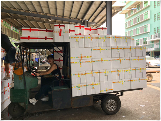 122cc太阳集成游戏(中国)有限公司官网