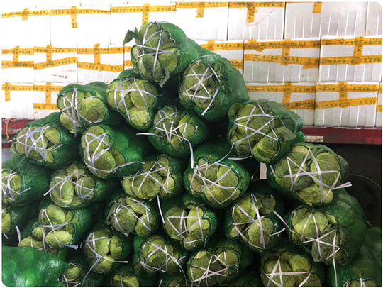 122cc太阳集成游戏(中国)有限公司官网