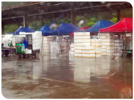 122cc太阳集成游戏(中国)有限公司官网