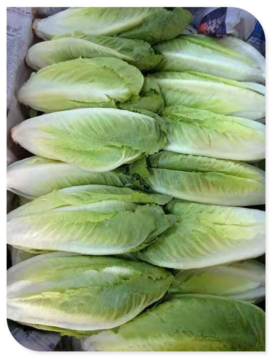 122cc太阳集成游戏(中国)有限公司官网