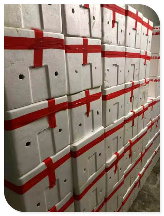 122cc太阳集成游戏(中国)有限公司官网