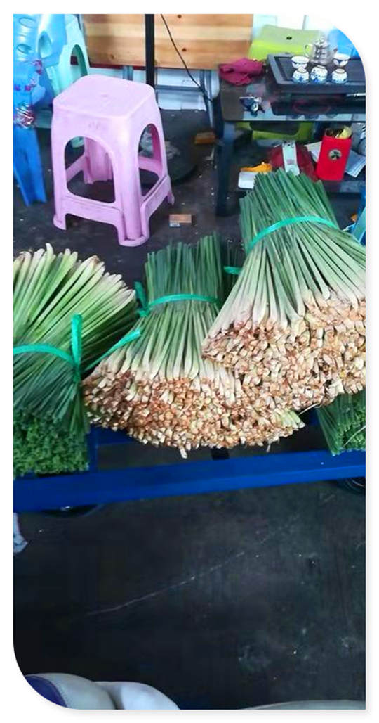 122cc太阳集成游戏(中国)有限公司官网