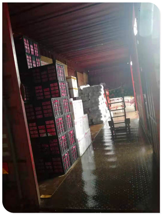 122cc太阳集成游戏(中国)有限公司官网