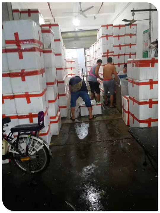 122cc太阳集成游戏(中国)有限公司官网