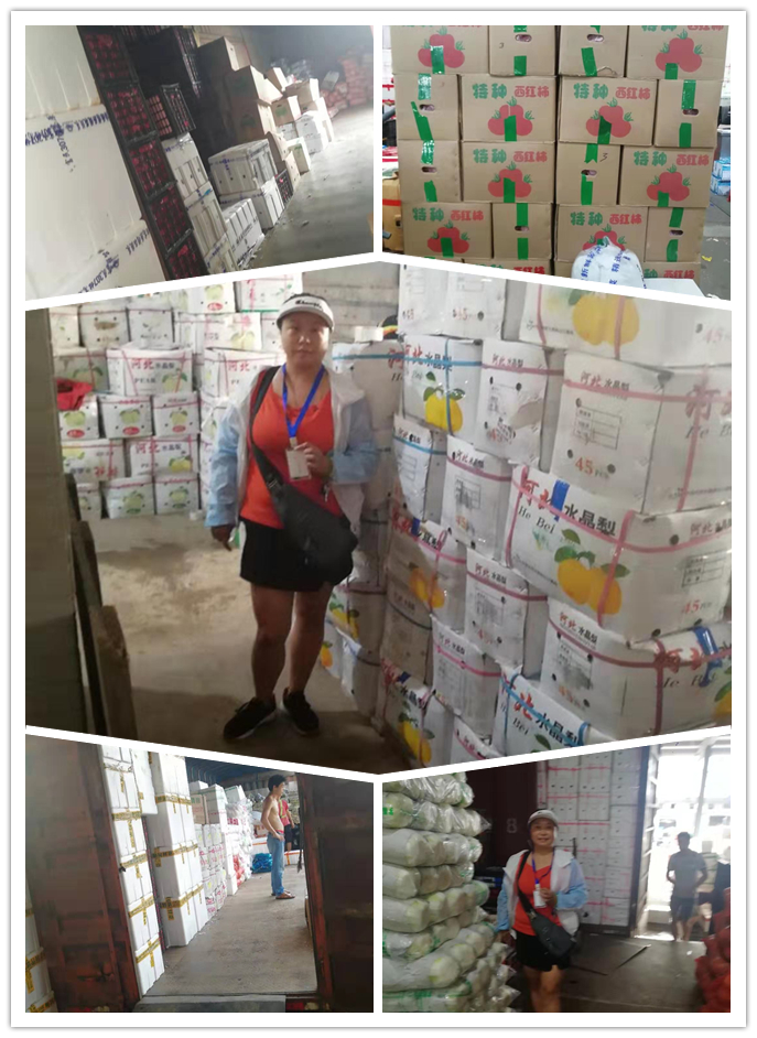 122cc太阳集成游戏(中国)有限公司官网