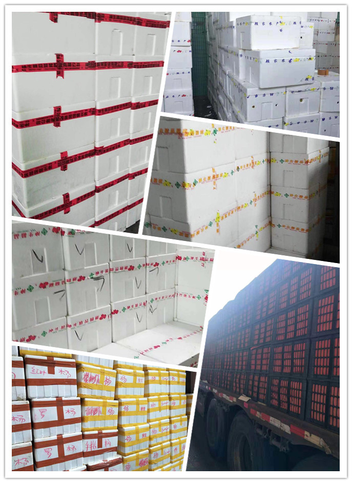 122cc太阳集成游戏(中国)有限公司官网