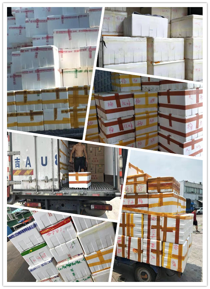 122cc太阳集成游戏(中国)有限公司官网