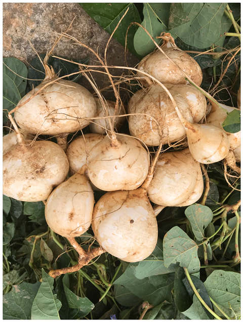 122cc太阳集成游戏(中国)有限公司官网