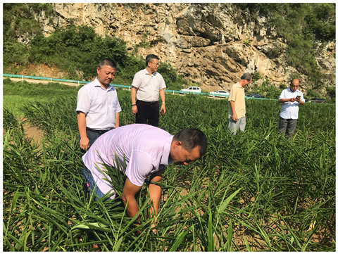 122cc太阳集成游戏(中国)有限公司官网