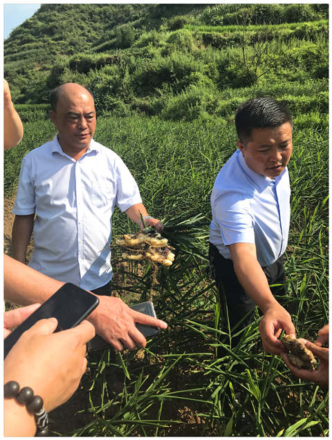 122cc太阳集成游戏(中国)有限公司官网