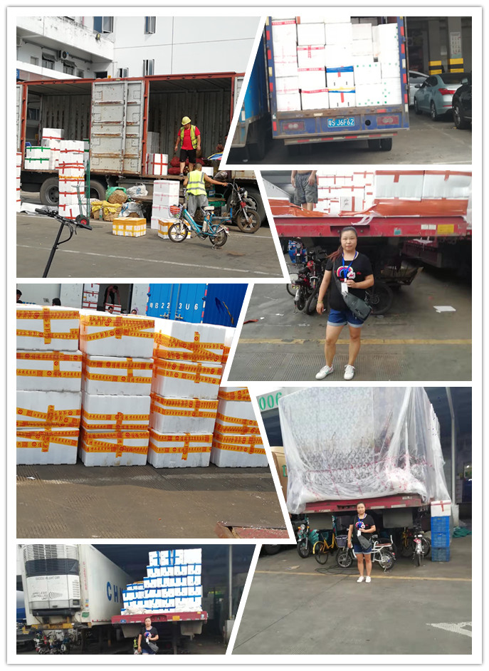 122cc太阳集成游戏(中国)有限公司官网