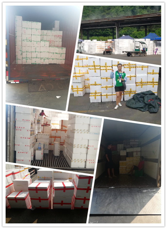 122cc太阳集成游戏(中国)有限公司官网