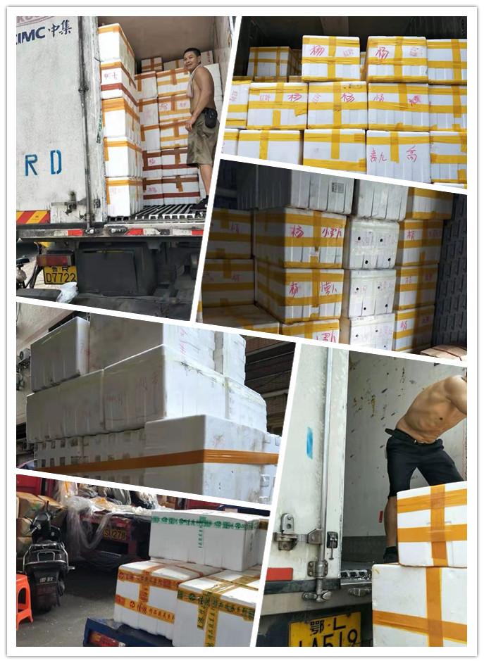 122cc太阳集成游戏(中国)有限公司官网