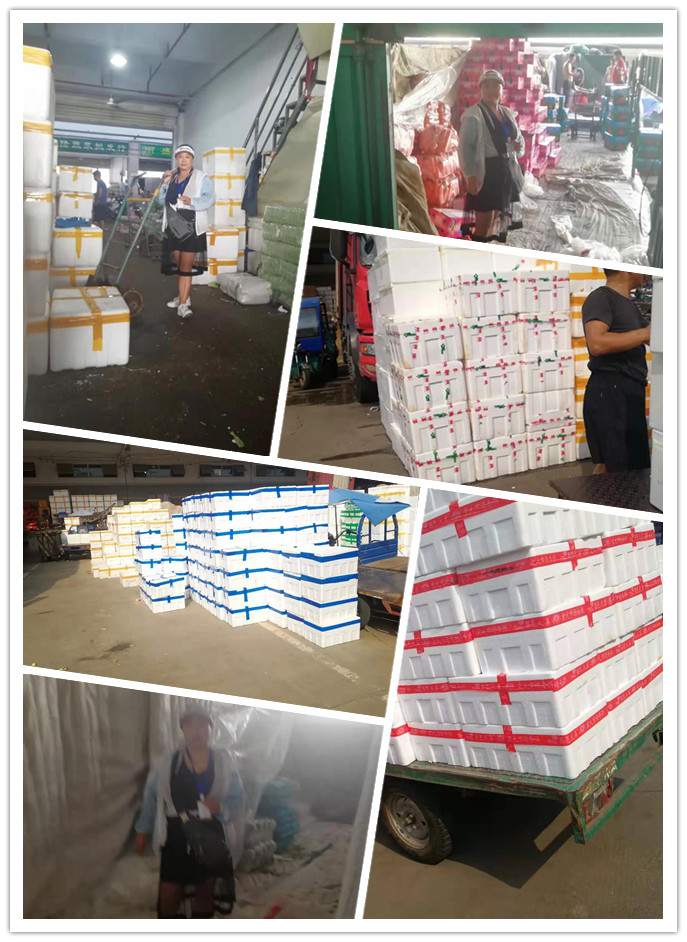 122cc太阳集成游戏(中国)有限公司官网