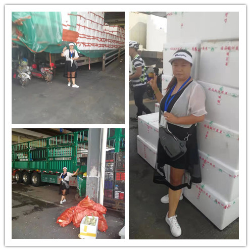 122cc太阳集成游戏(中国)有限公司官网