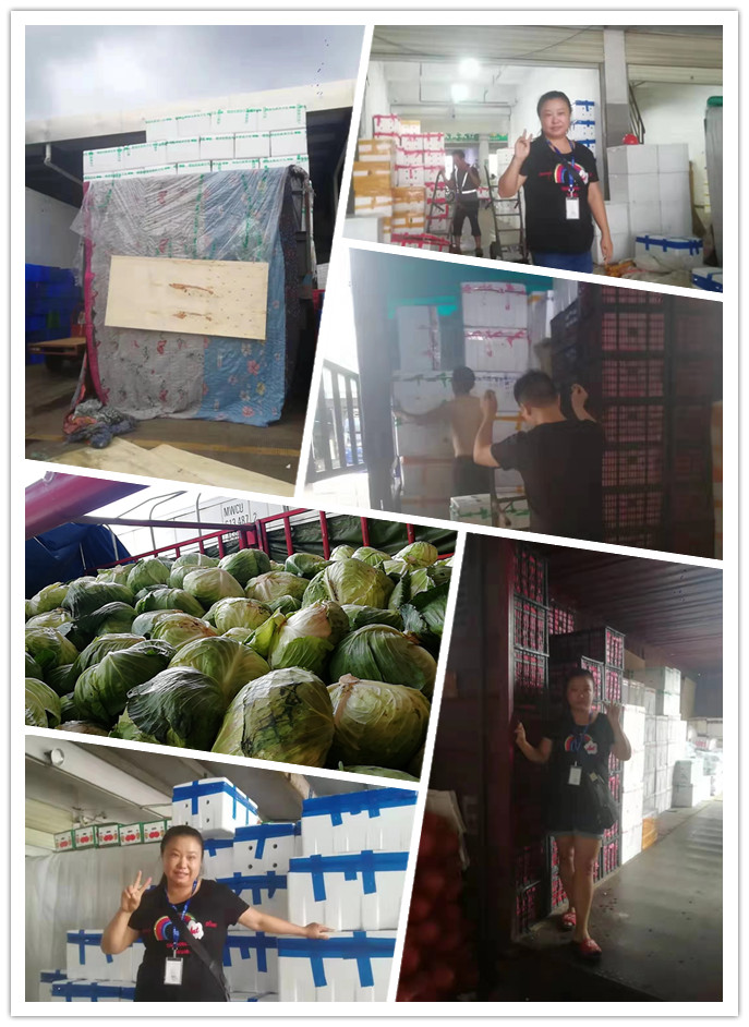 122cc太阳集成游戏(中国)有限公司官网